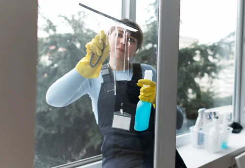 Nettoyage de vitres intérieures et extérieures à Crots
